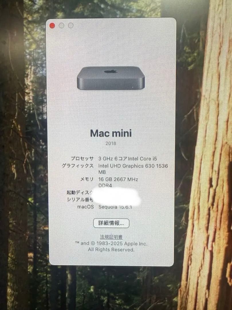 Mac mini 2018 late i5 6コア 3GHz16GB 256GB