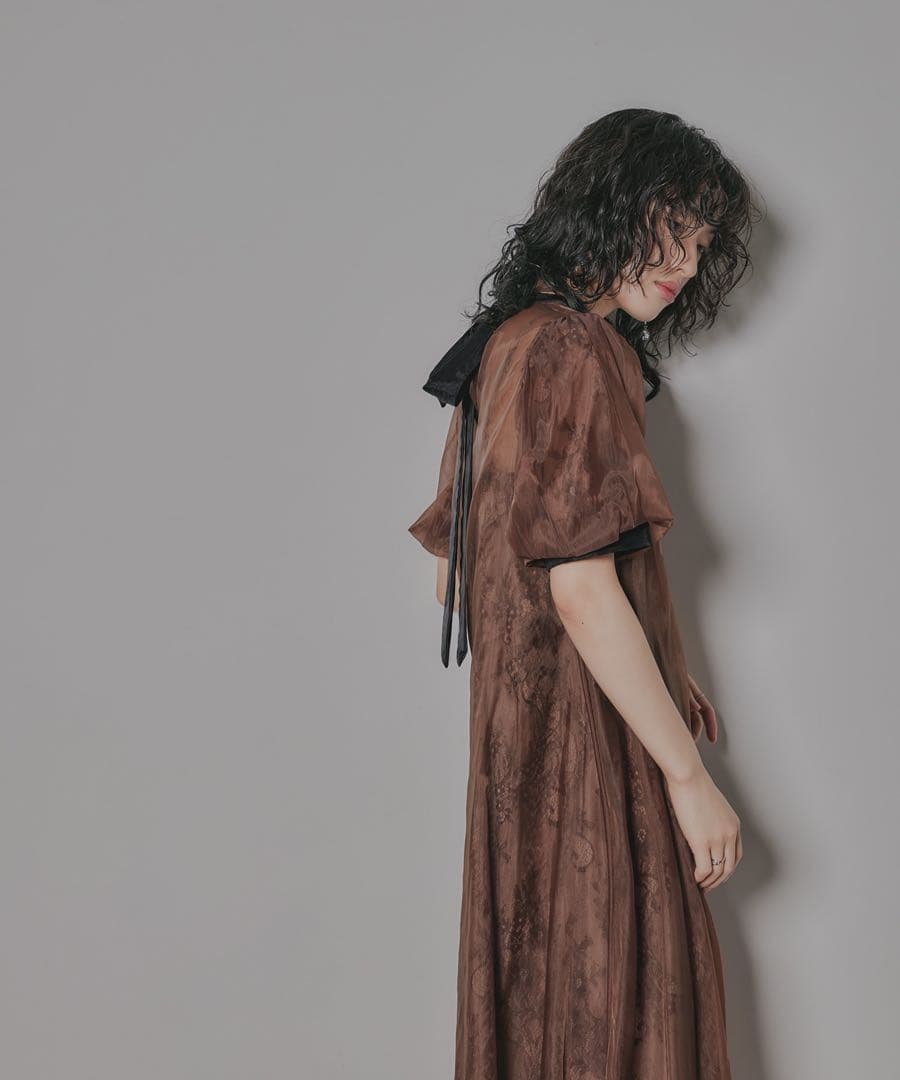 niana Aラインオーガンジーレースレイヤードドレス オケージョンドレス