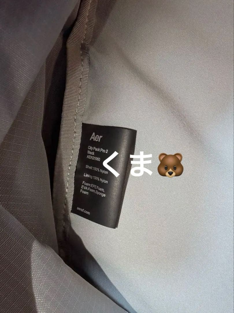 Aer City Pack Pro 2 リュック　ブラック　エアー