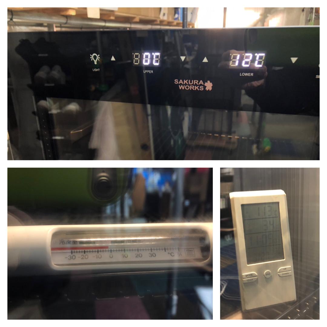 K♦179 さくら製作所 低温冷蔵機能付 ワインセラー SB51