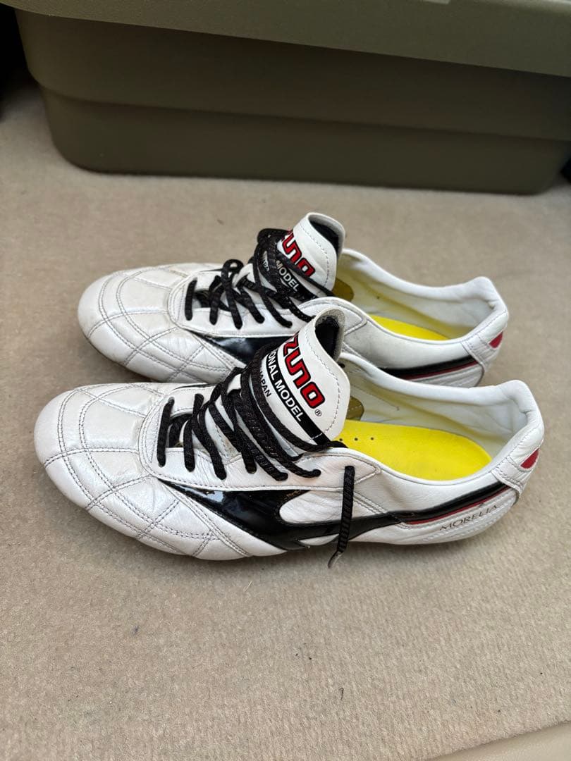 Mizuno モレリア2Japan クロスステッチ