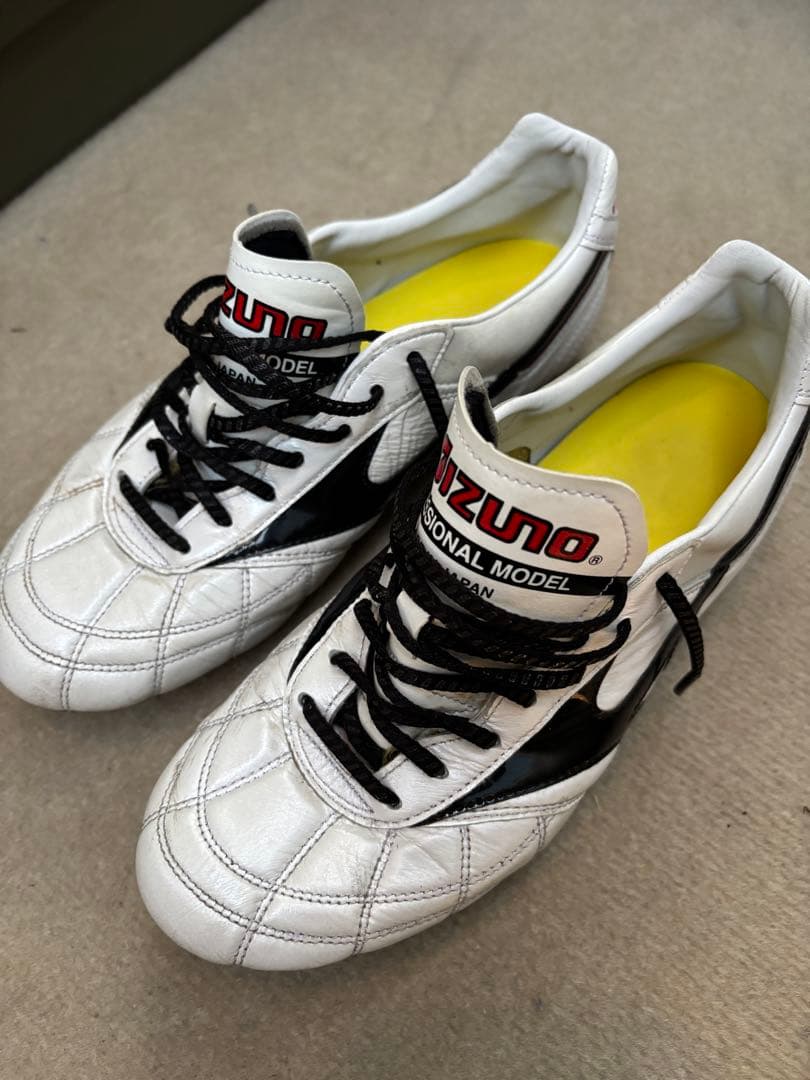 Mizuno モレリア2Japan クロスステッチ