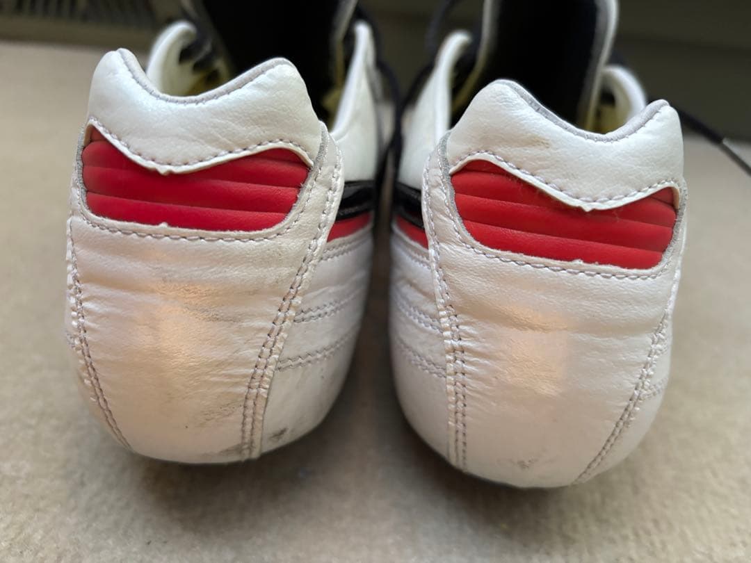 Mizuno モレリア2Japan クロスステッチ