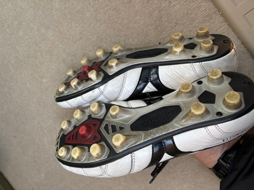 Mizuno モレリア2Japan クロスステッチ