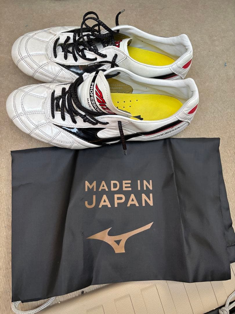 Mizuno モレリア2Japan クロスステッチ