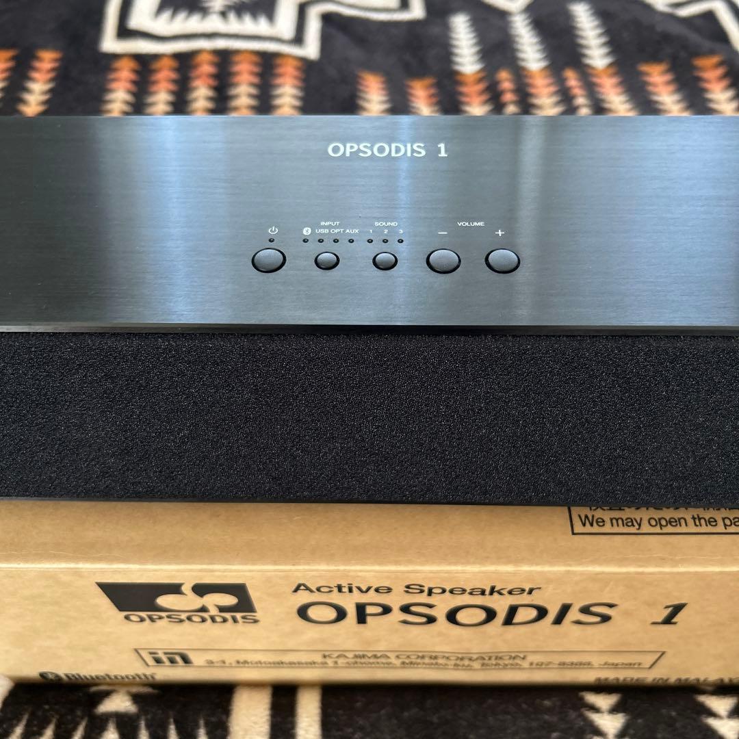 OPSODIS　1　鹿島建設　立体音響　スピーカー