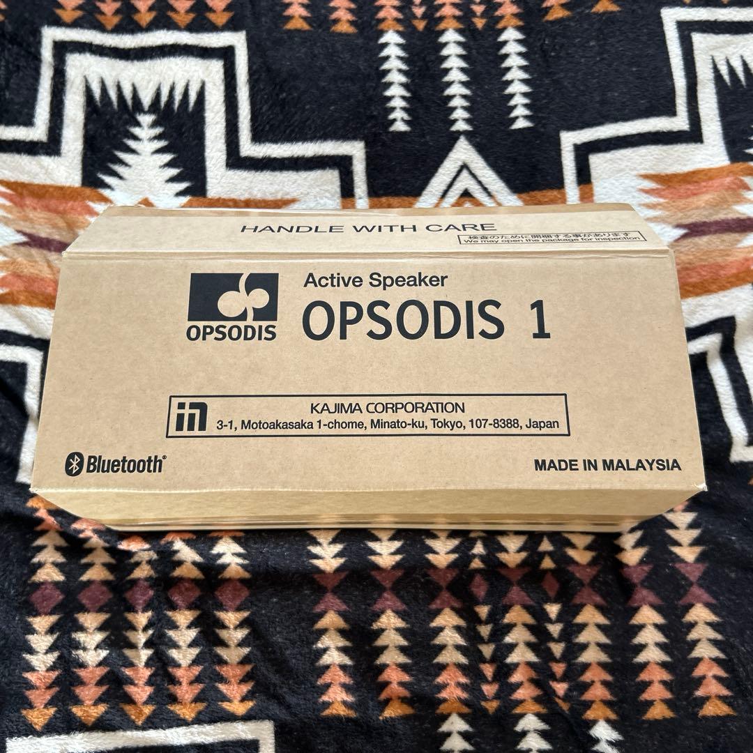 OPSODIS　1　鹿島建設　立体音響　スピーカー