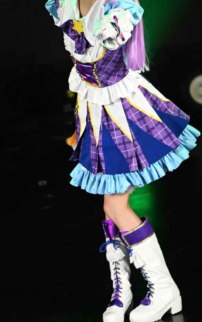 いぬページ 氷上スミレ コスプレ 衣装 靴付き