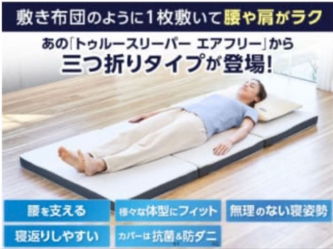トゥルースリーパー　三つ折りタイプ　シングル　＆　ミニトゥルースイーパー　×２