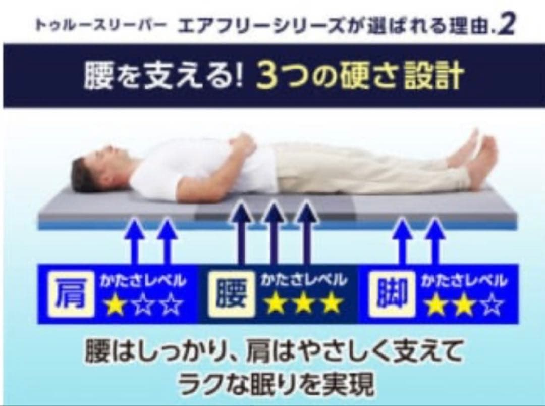 トゥルースリーパー　三つ折りタイプ　シングル　＆　ミニトゥルースイーパー　×２