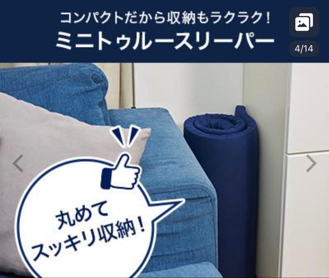 トゥルースリーパー　三つ折りタイプ　シングル　＆　ミニトゥルースイーパー　×２