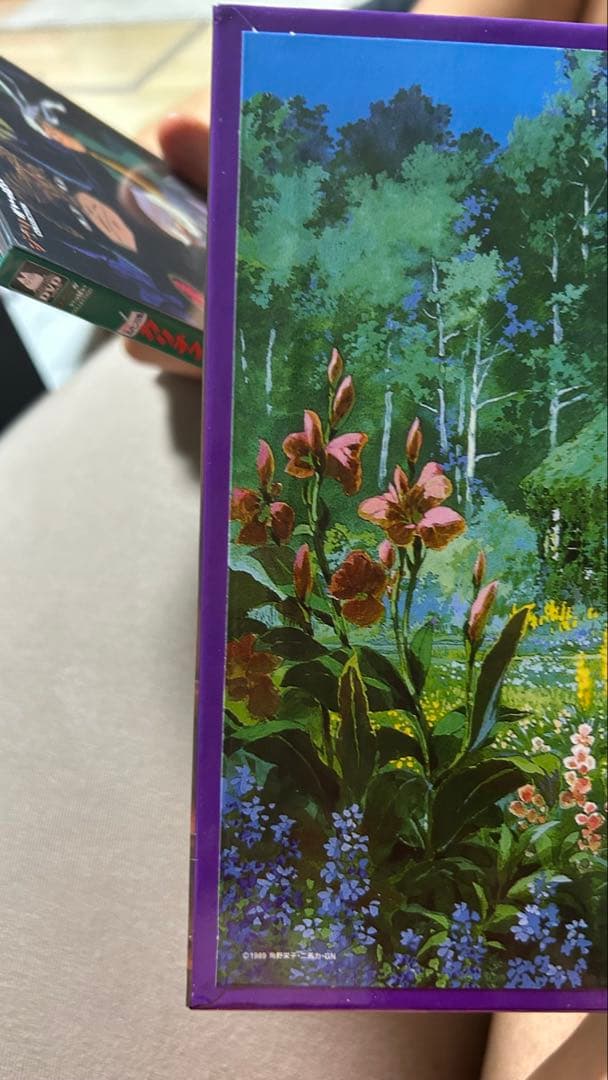 スタジオジブリ DVDセット 特典ディスク付き