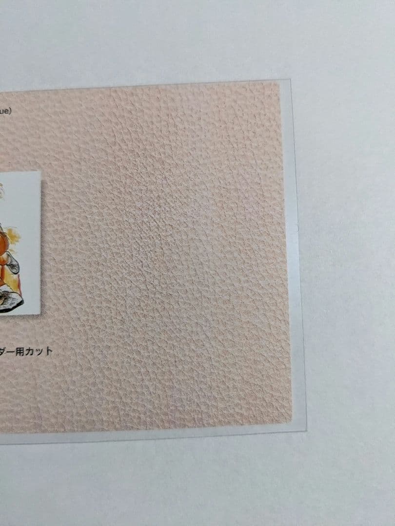 カードダスマスターズ　SP2　流川楓　①