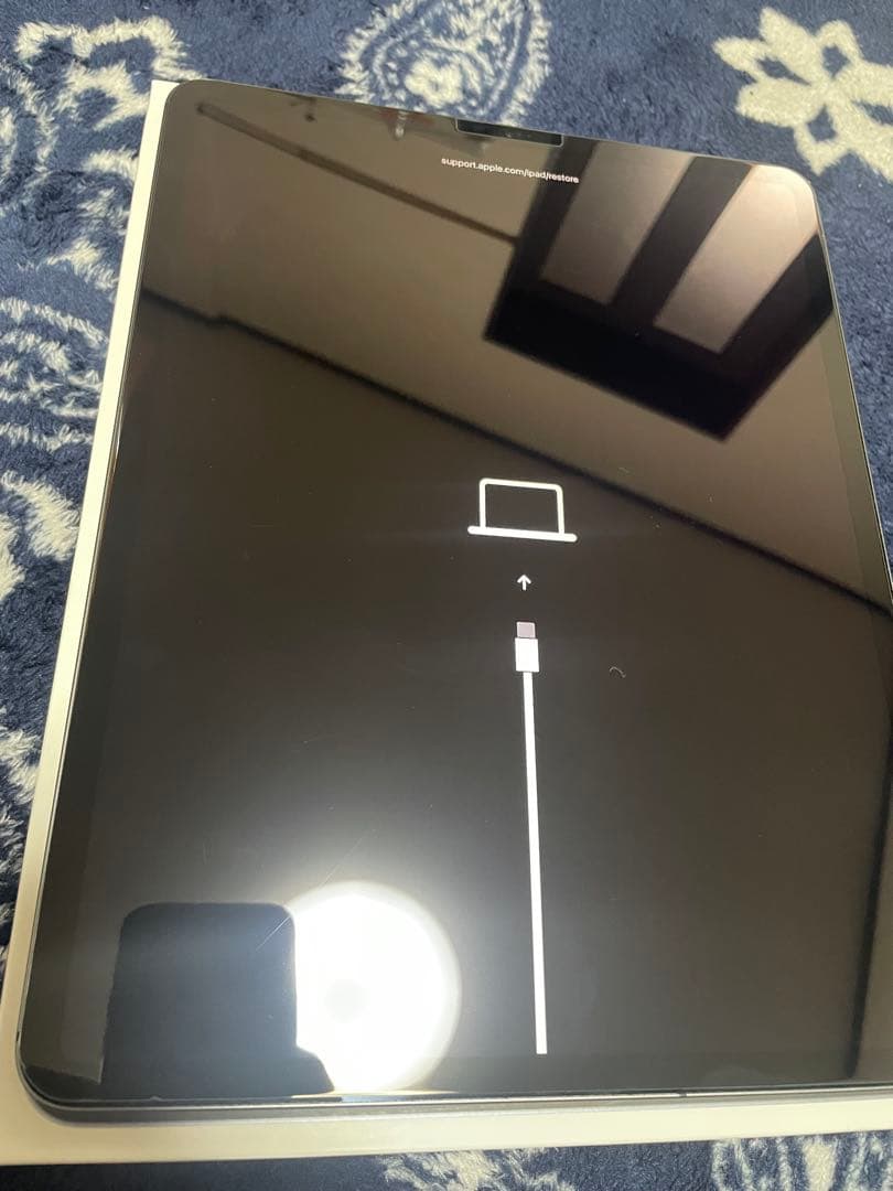 iPadpro 本体 ジャンク品