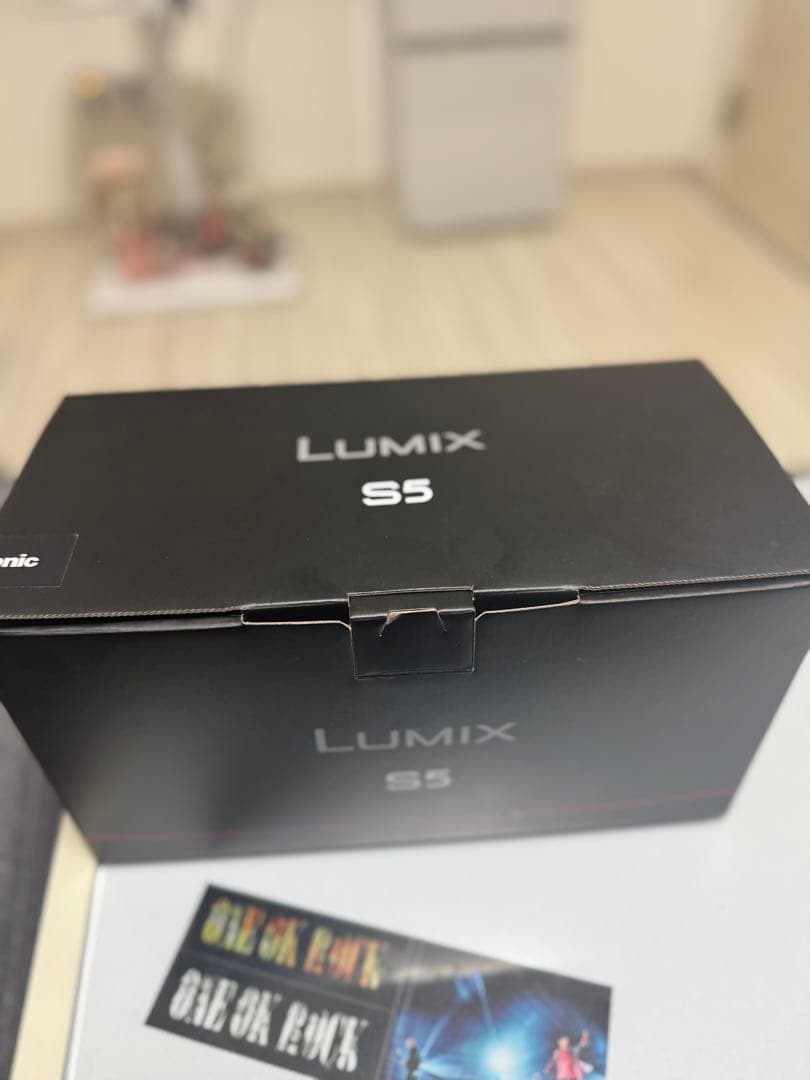 LUMIX S5 ミラーレス一眼カメラ 20-60mmレンズ付き　保証つき