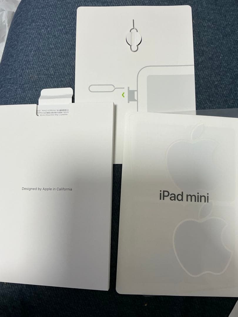 iPad mini 6 256GB Wi-Fi cellular 中古