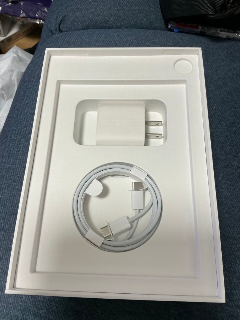 iPad mini 6 256GB Wi-Fi cellular 中古