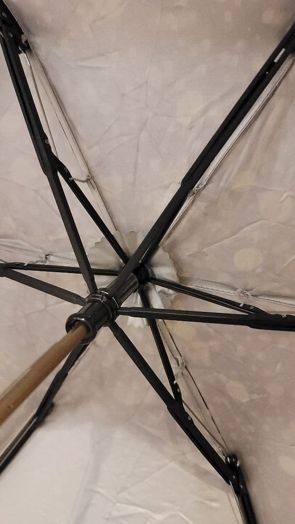 ラプンツェル　日傘　ラインドロップ