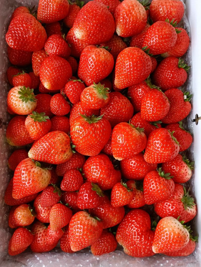 大量約6kg！とちあいか！規格外のため格安！甘くて酸味が少ない品種です！