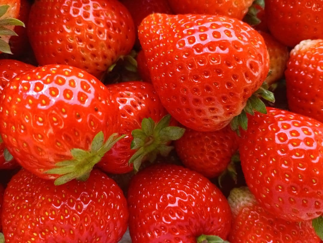 大量約6kg！とちあいか！規格外のため格安！甘くて酸味が少ない品種です！