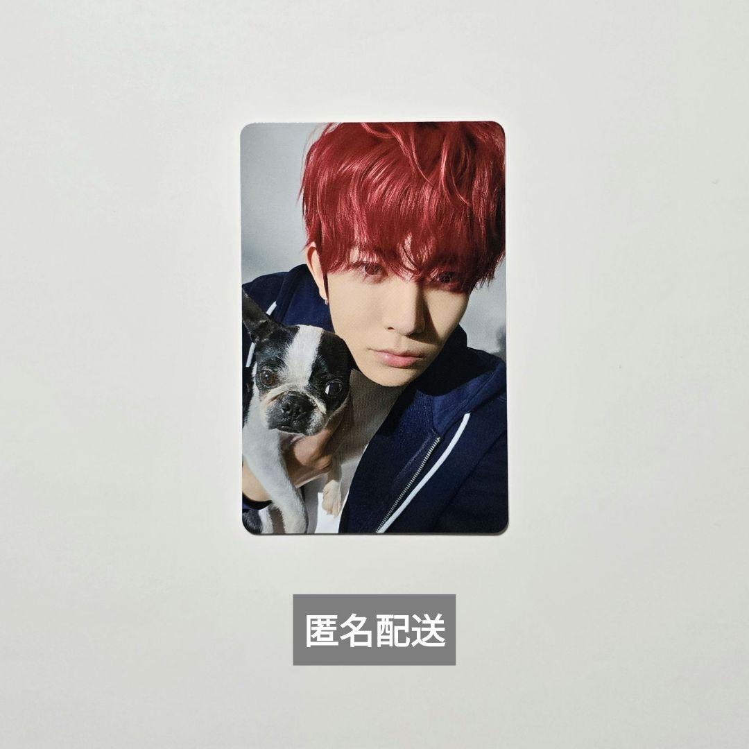 ENHYPEN アンケート特典 ヒスン トレカ