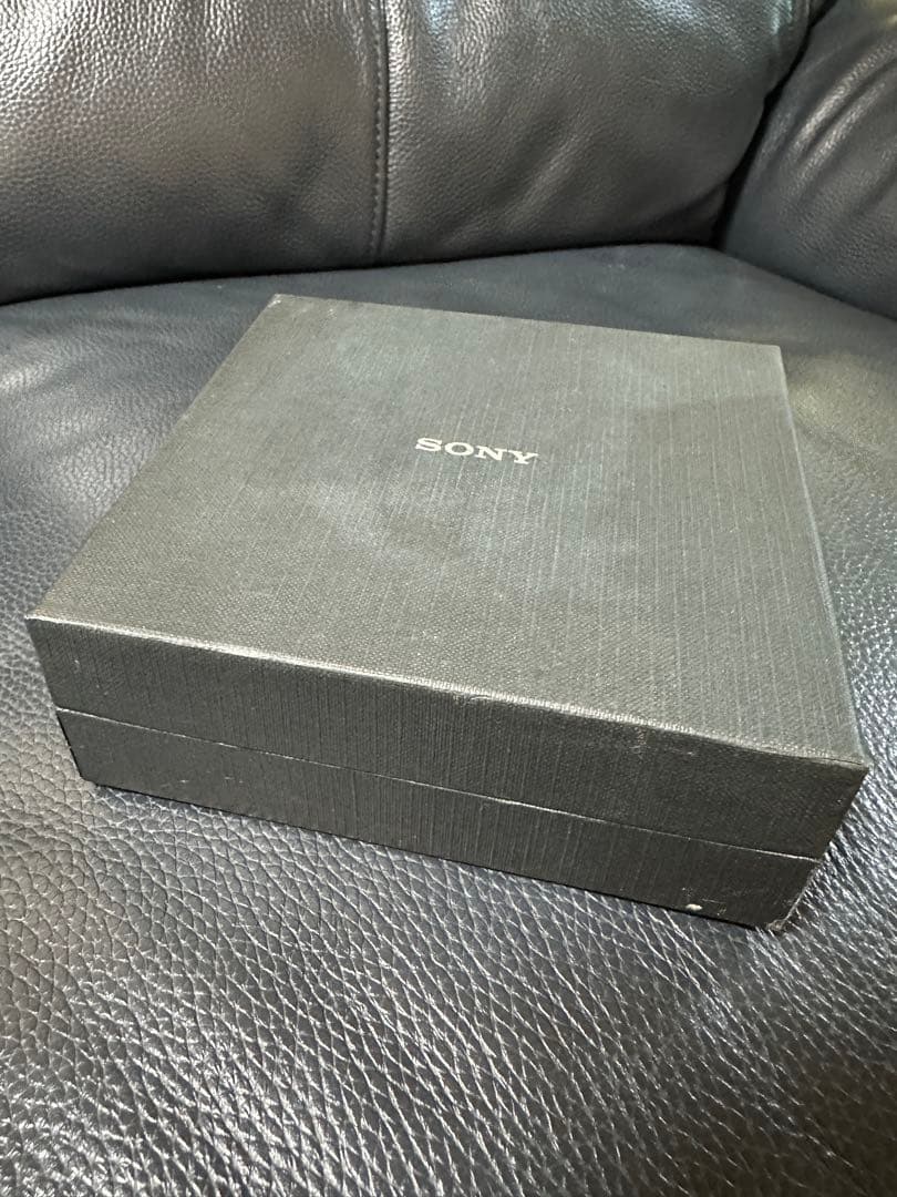 SONY ソニー ウォークマン NW-A605 デジタルオーディオプレーヤー