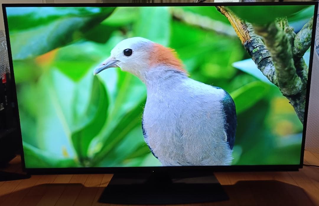 値下げ‼️美品 22年製55V型SHARP AQUOS 4T-C55DN1 4K