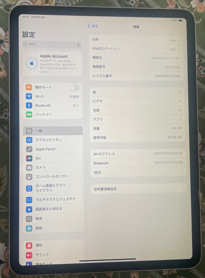 iPad Pro 11インチ 第一世代 64GB WIFI