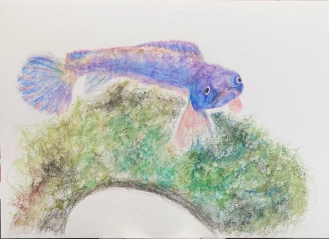 どんぐり　※他の方は購入できません