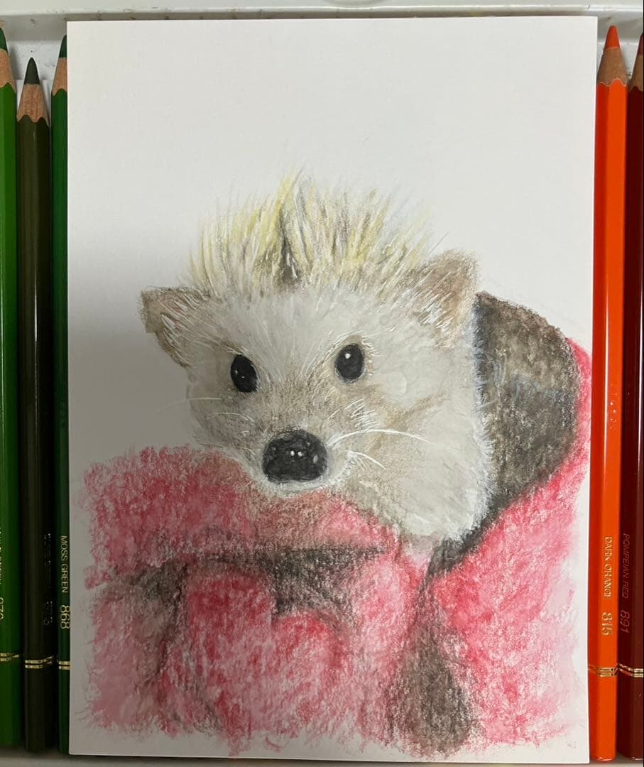 どんぐり　※他の方は購入できません