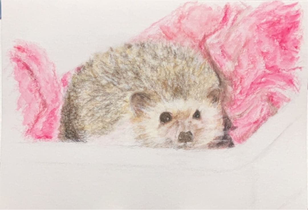 どんぐり　※他の方は購入できません