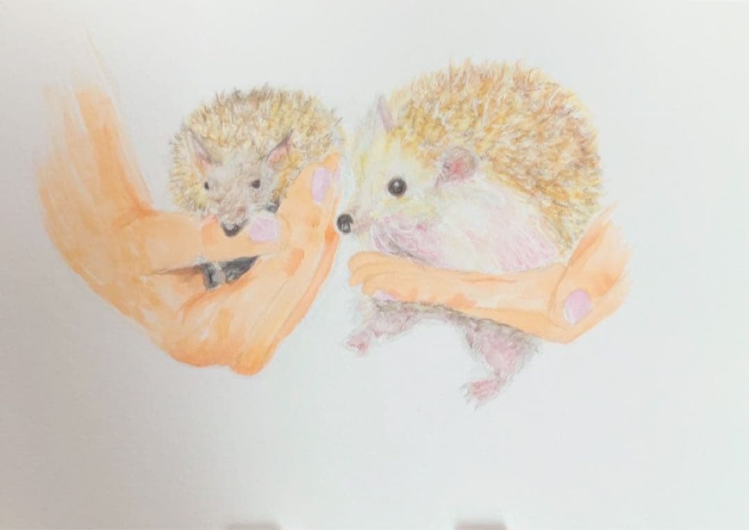 どんぐり　※他の方は購入できません