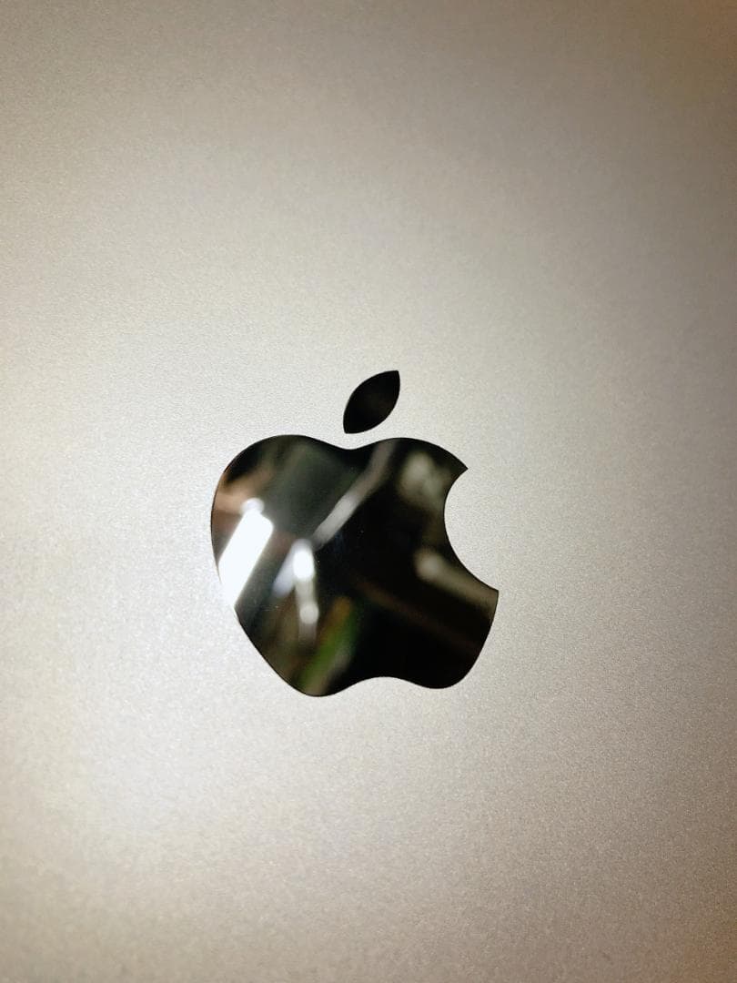 バッテリー良好　第2世代　美品　iPad Pro 11