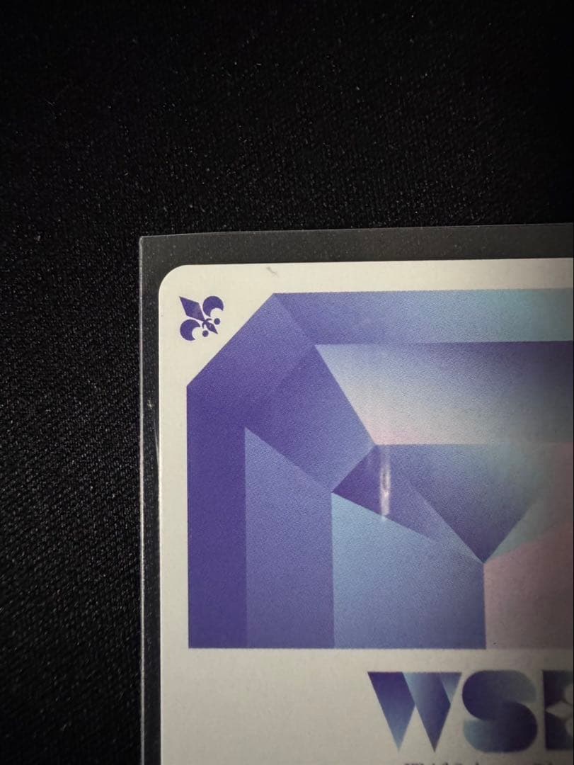 ブルーロック　ブルロ　ヴァイスシュヴァルツブラウ 凪誠士郎　SSP