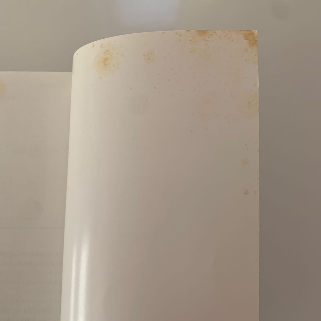 フィアット　「パンダの本」