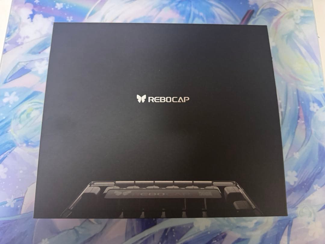 Rebocap 即日翌日発送
