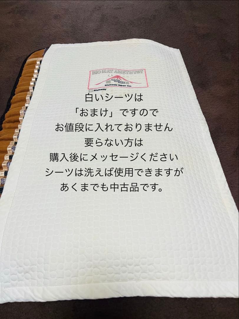 温活‼️美品⭐️リッチウェイ☆バイオミニマット