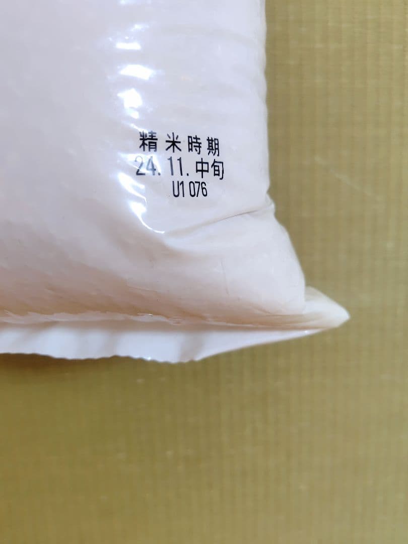 お米 精米済10キロ