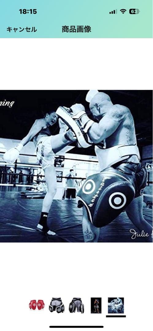 Fairtex TP3 フェアテックス 太ももパッド　キックボクシング