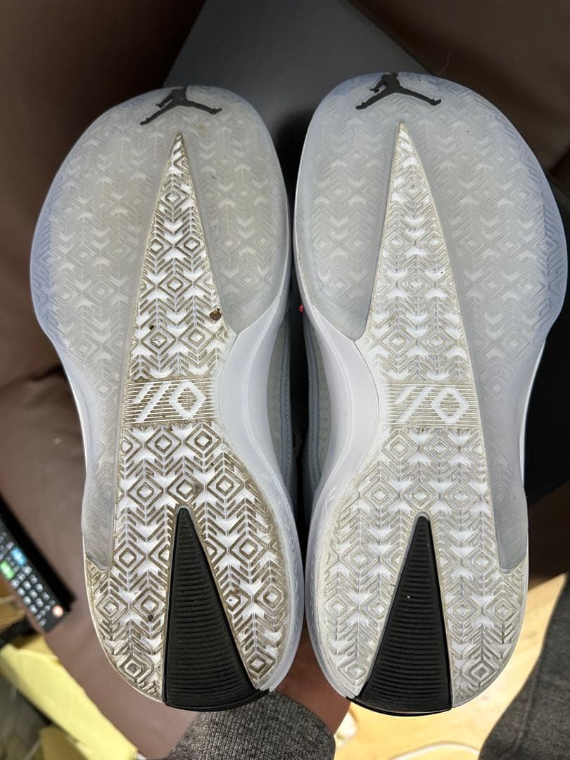 Air Jordan 40 PF 29cm 【本日出荷可能】