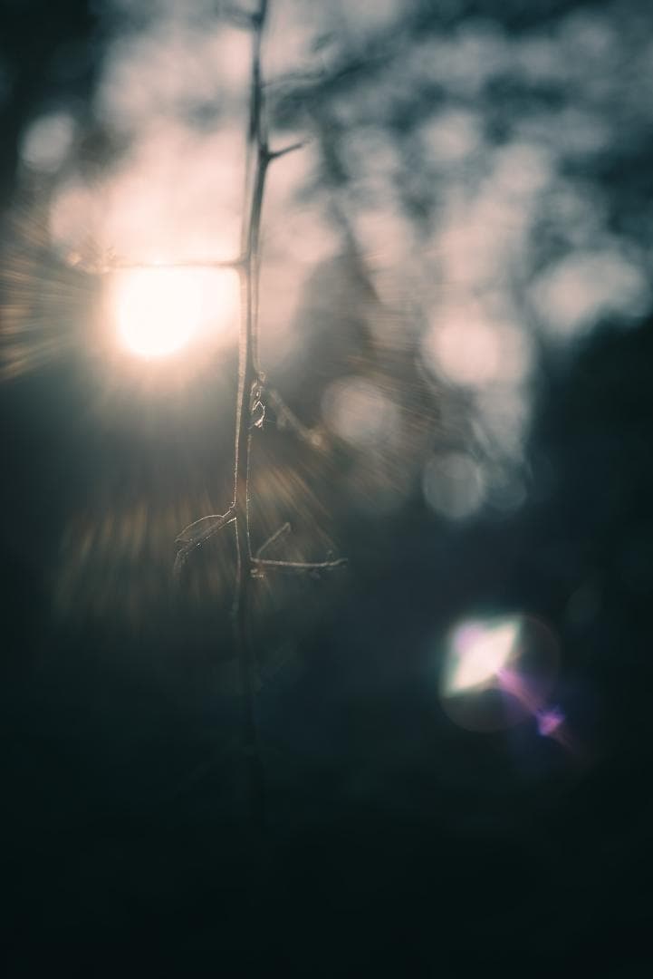 極美品！名玉の現行型！Leica Summicron 50mm F2 4th