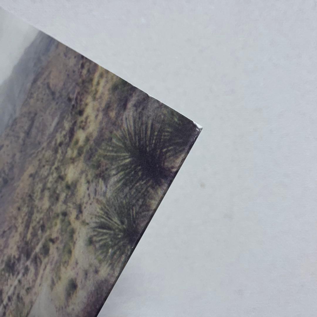 【レア】Balmorhea All Is Wild, All Is Silent