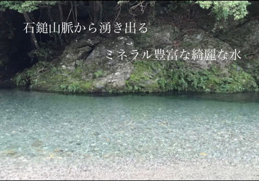 農薬化学肥料除草剤不使用　令和7年度米　愛媛県産ヒノヒカリ稲架掛け米 20kg