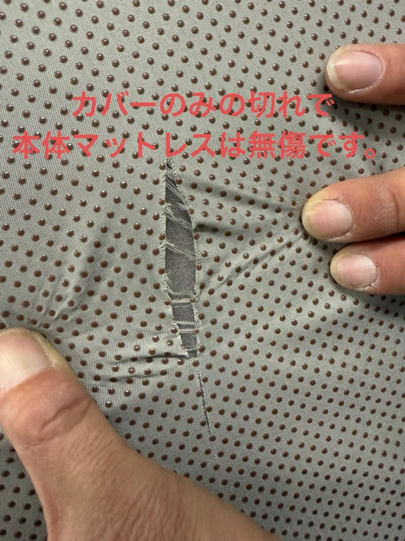 ⚠️難あり✨コアラマットレプラス✨シングル✨正規品✨全国発送✨koala(R)