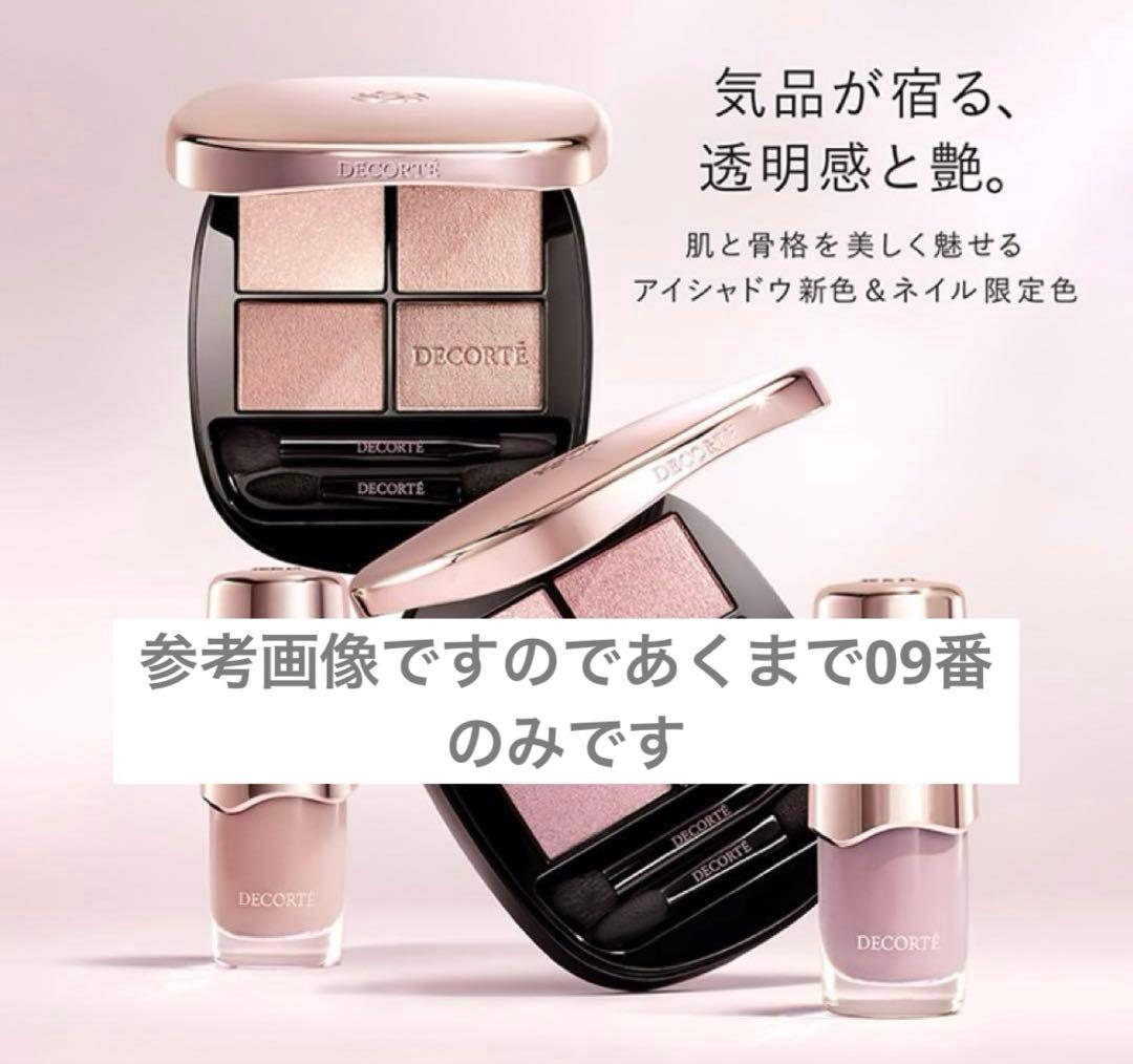 未使用コスメデコルテスキンシャドウデザイニングパレット09おまけ付き
