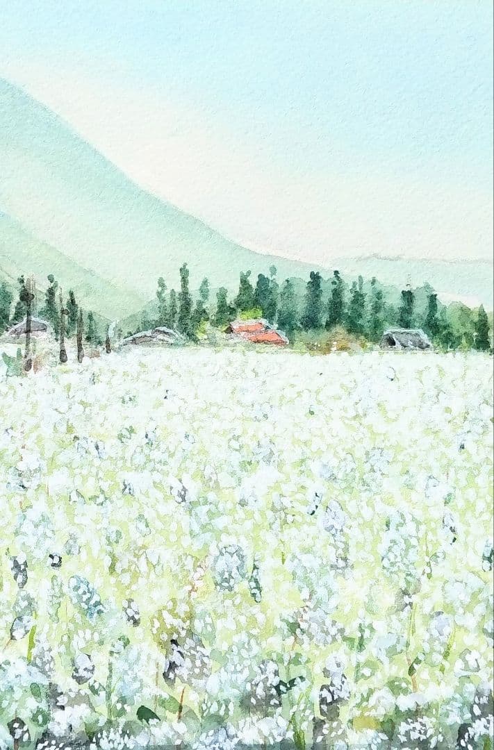長野県 《 木曽蕎麦畑 》　 　水彩画　風景画　原画 プレゼントあり