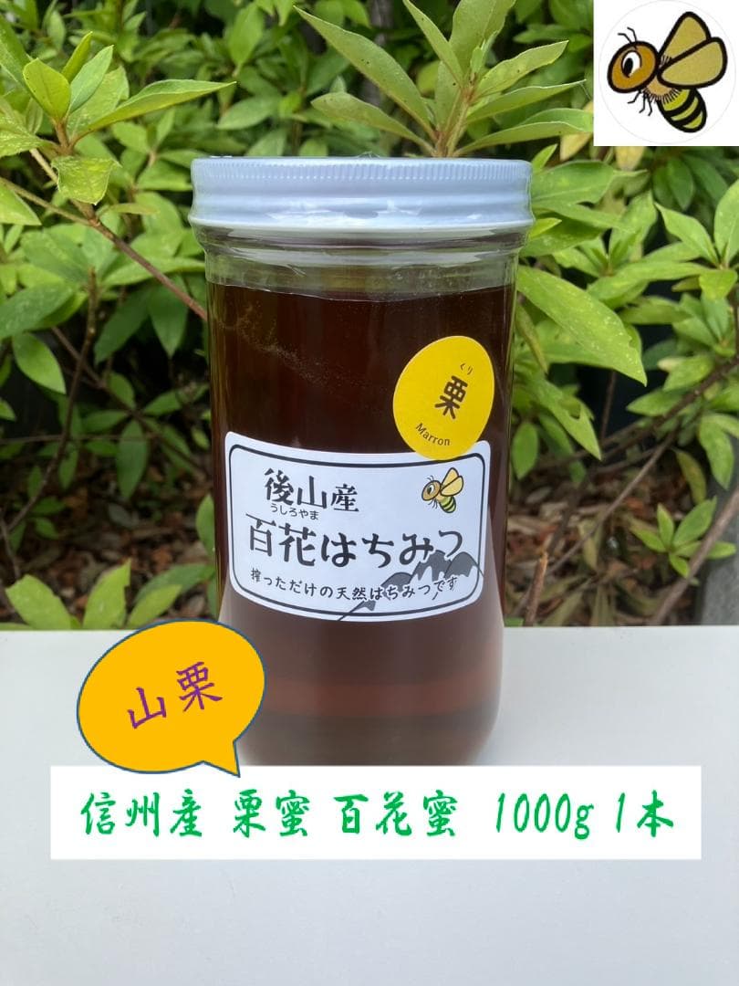 【そら】 国産蜂蜜 1000g アカシア蜜3本、栗蜜1本 はちみつ