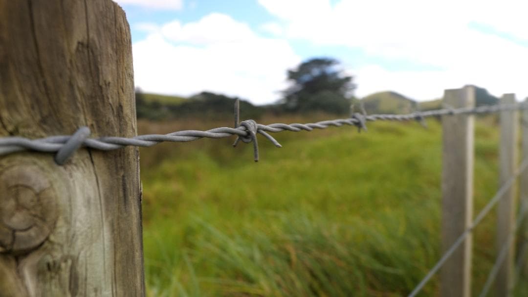 GH5M2 フルセット SIGMA18-35 bones付