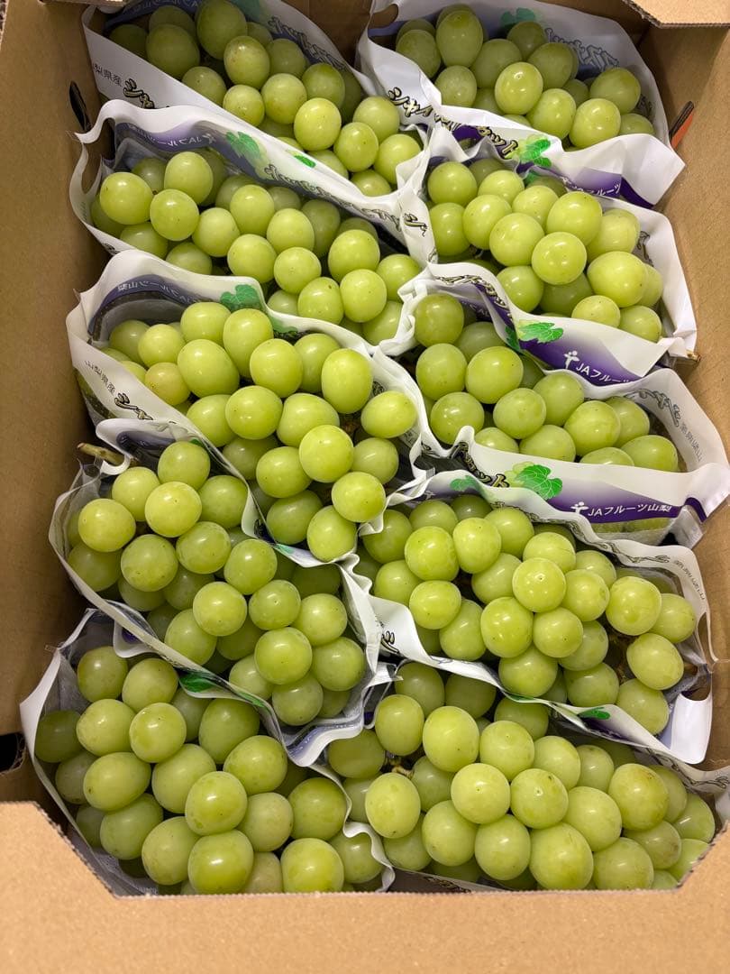 山梨県産　シャインマスカット　10房セット