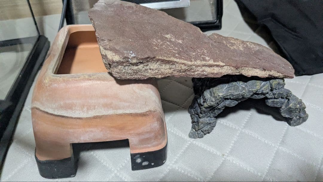 EXO TERRA（エキゾテラ）グラステラリウム3030含む レオパ飼育セット